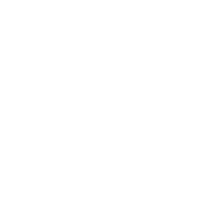 insta_icon